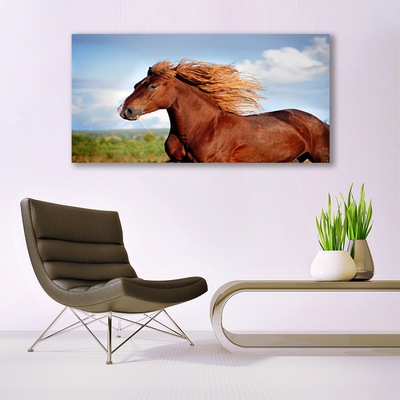 Quadro in vetro Animali da cavallo