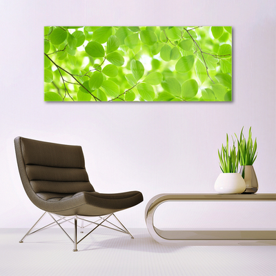 Quadro di vetro Foglie di natura