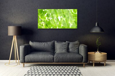 Quadro di vetro Foglie di natura