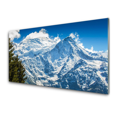 Quadro vetro Paesaggio di alberi di montagna