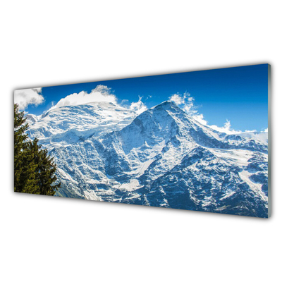 Quadro vetro Paesaggio di alberi di montagna