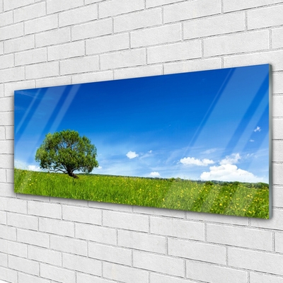 Quadro vetro Erba Albero Natura