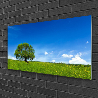 Quadro vetro Erba Albero Natura