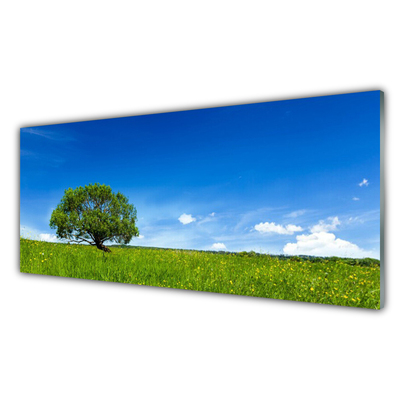 Quadro vetro Erba Albero Natura