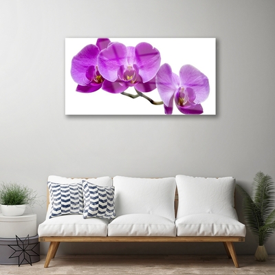 Quadro su vetro Fiori da parete