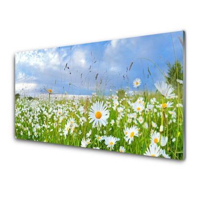 Quadro vetro Daisy Meadow Natura