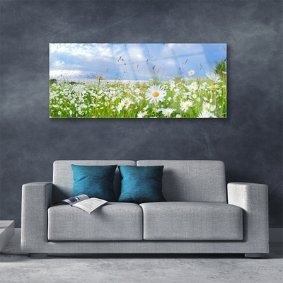 Quadro vetro Daisy Meadow Natura