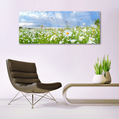 Quadro vetro Daisy Meadow Natura