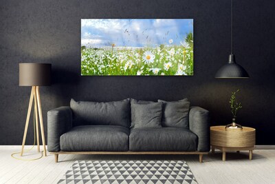 Quadro vetro Daisy Meadow Natura