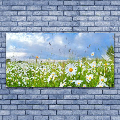 Quadro vetro Daisy Meadow Natura