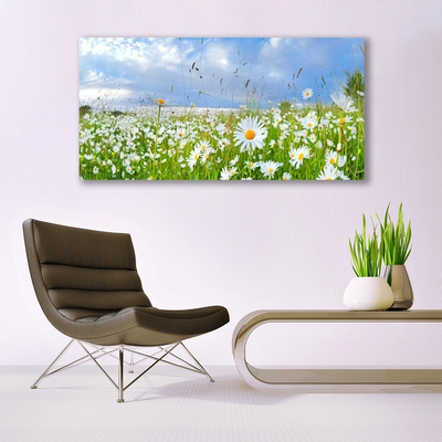 Quadro vetro Daisy Meadow Natura