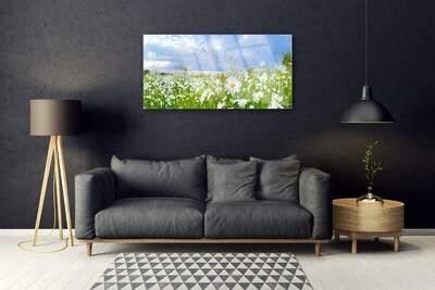 Quadro vetro Daisy Meadow Natura