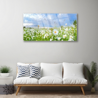 Quadro vetro Daisy Meadow Natura