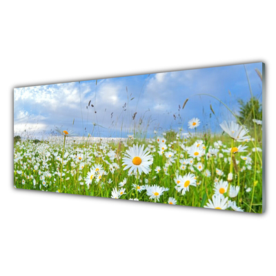 Quadro vetro Daisy Meadow Natura