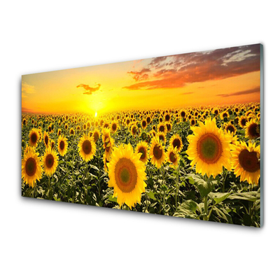 Quadro di vetro Girasoli