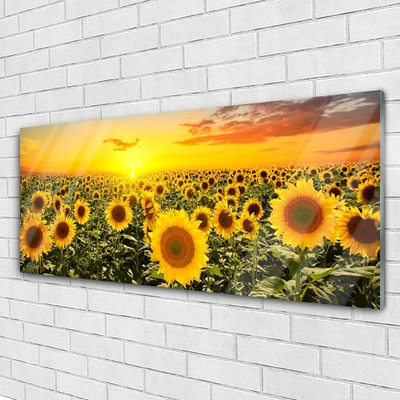 Quadro di vetro Girasoli