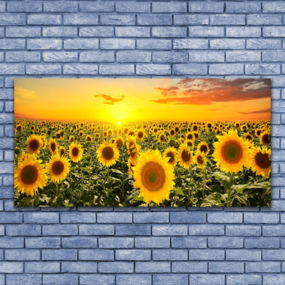 Quadro di vetro Girasoli