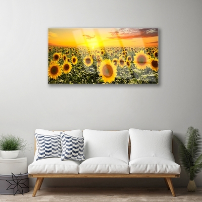 Quadro di vetro Girasoli