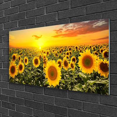 Quadro di vetro Girasoli