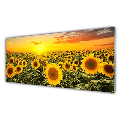 Quadro di vetro Girasoli