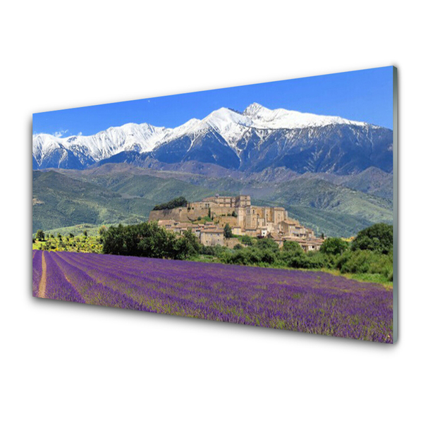 Quadro su vetro Prato Fiori Paesaggio di montagna