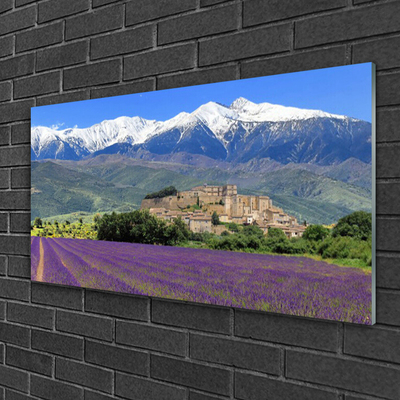 Quadro su vetro Prato Fiori Paesaggio di montagna