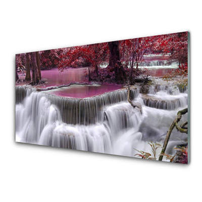 Quadro in vetro Cascata Albero Natura