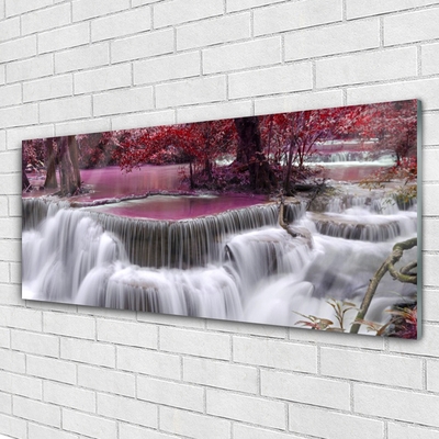 Quadro in vetro Cascata Albero Natura