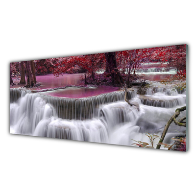 Quadro in vetro Cascata Albero Natura