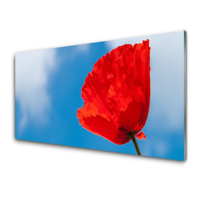 Quadro su vetro Muro di tulipani