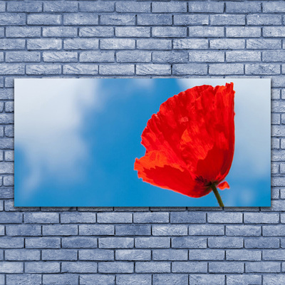 Quadro su vetro Muro di tulipani