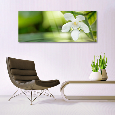 Quadro di vetro Foglie di fiori