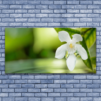 Quadro di vetro Foglie di fiori