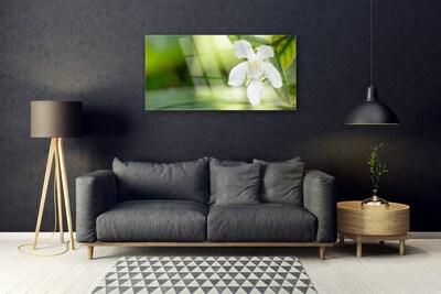 Quadro di vetro Foglie di fiori