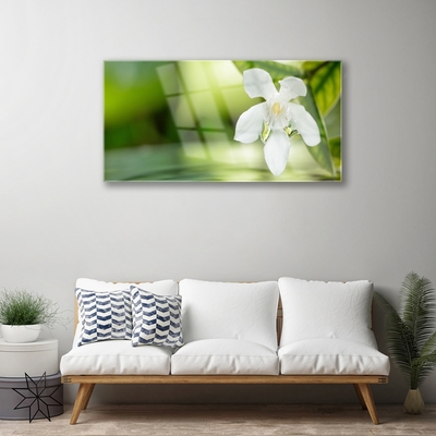 Quadro di vetro Foglie di fiori