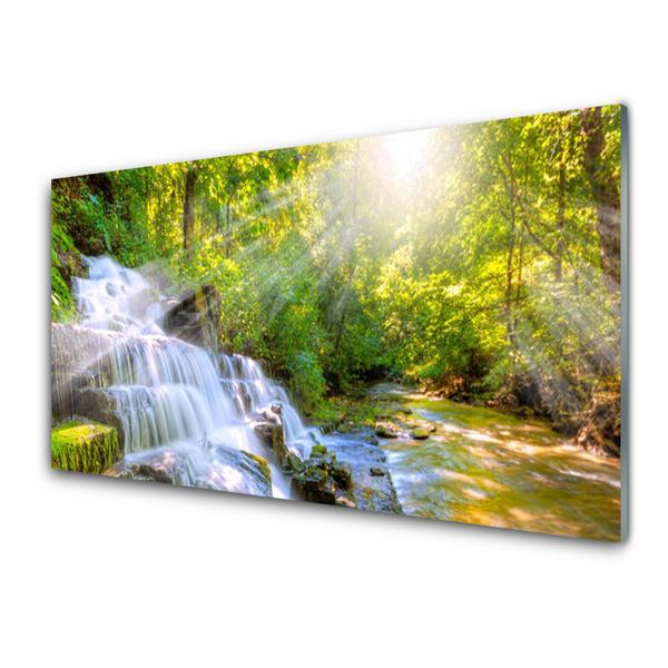 Quadro in vetro Cascata Foresta Natura