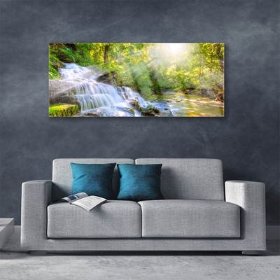 Quadro in vetro Cascata Foresta Natura