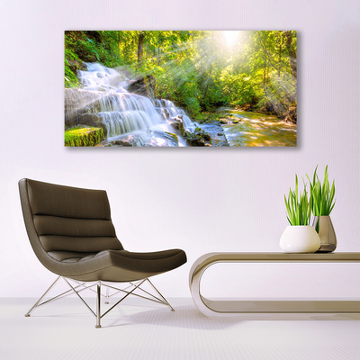 Quadro in vetro Cascata Foresta Natura