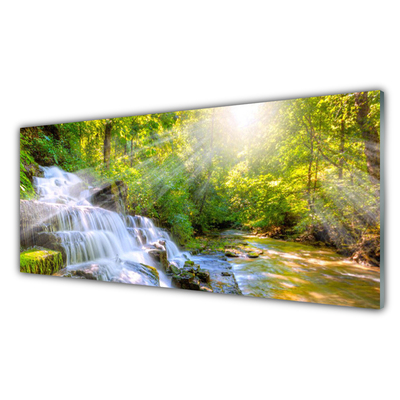 Quadro in vetro Cascata Foresta Natura