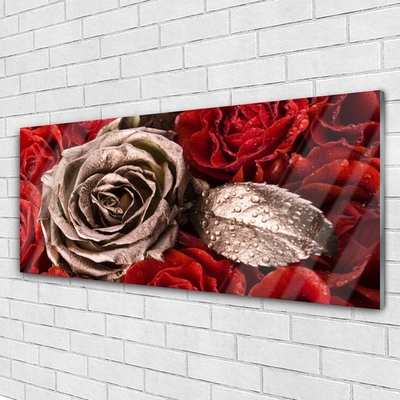 Quadro su vetro Fiori di rose