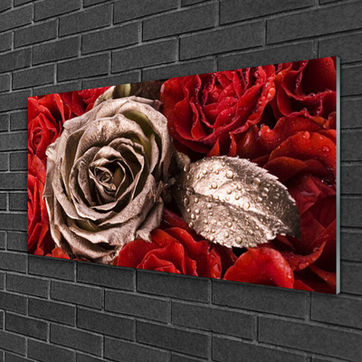 Quadro su vetro Fiori di rose