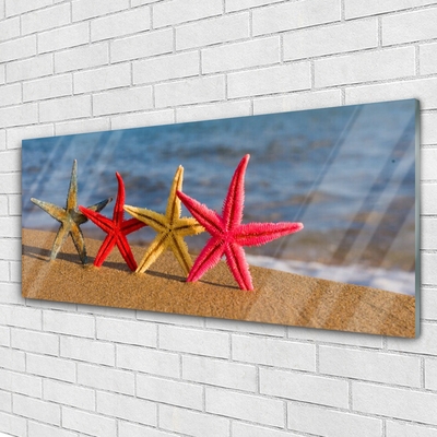 Quadro su vetro Arte della stella marina in spiaggia