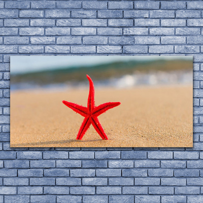 Quadro in vetro Arte della stella marina in spiaggia