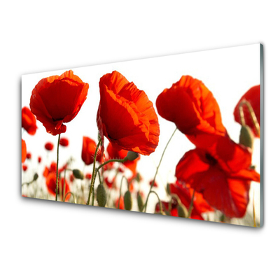 Quadro in vetro Fiori di tulipani