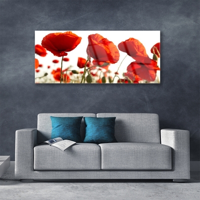 Quadro in vetro Fiori di tulipani