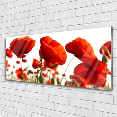 Quadro in vetro Fiori di tulipani