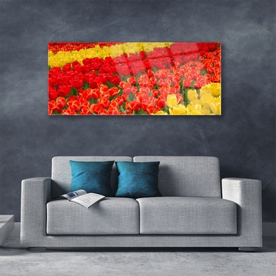 Quadro vetro Fiori di tulipani