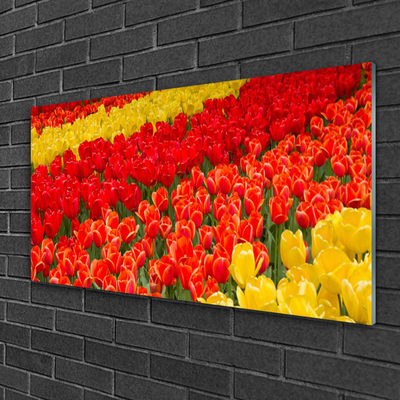 Quadro vetro Fiori di tulipani