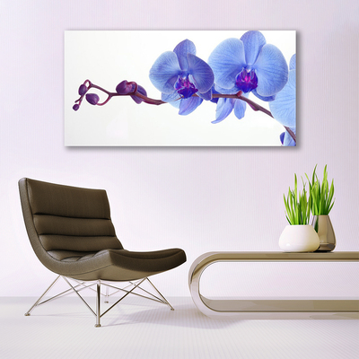 Quadro in vetro Pianta di fiori