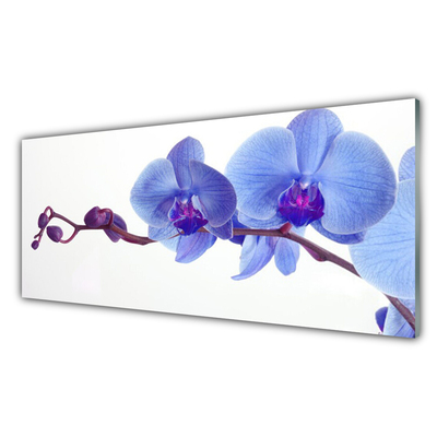 Quadro in vetro Pianta di fiori